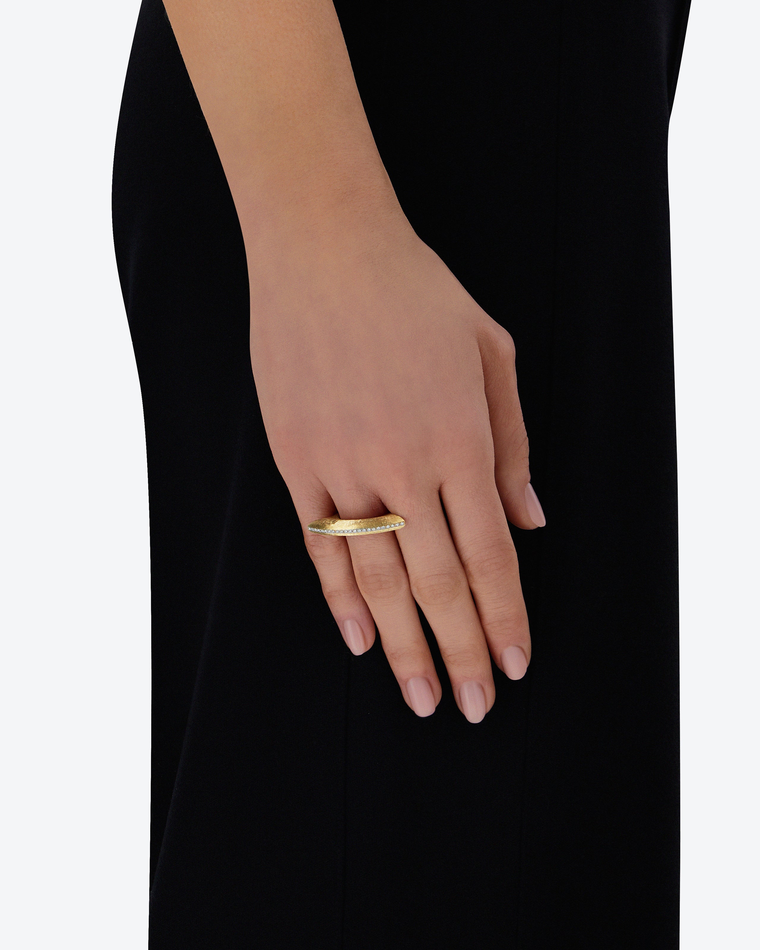 Anello Libera Icon